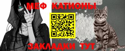 амф Дубна