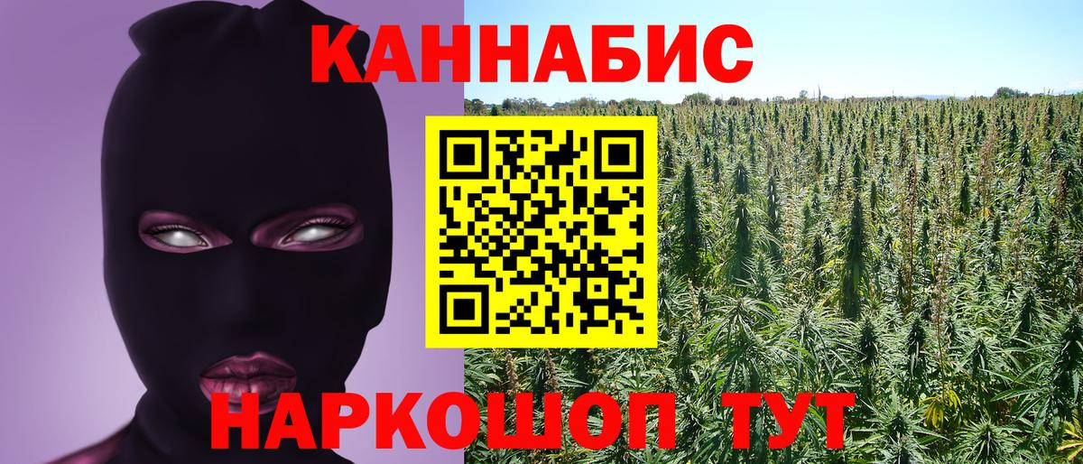 Шишки марихуана семена Майкоп